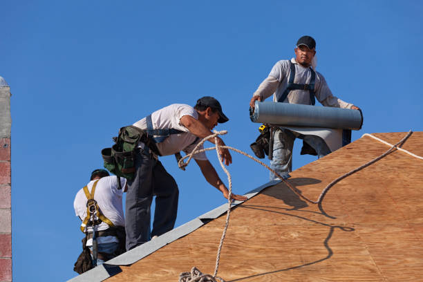 Best Roof Repair Services  in Orfordville, WI