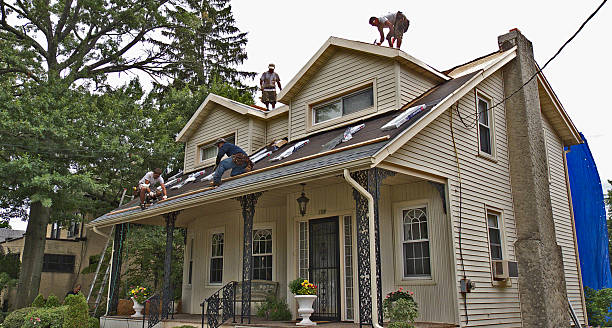 Best Flat Roof Repair Services  in Orfordville, WI