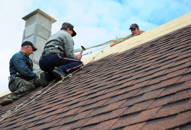 Best Best Roofing Contractors  in Orfordville, WI